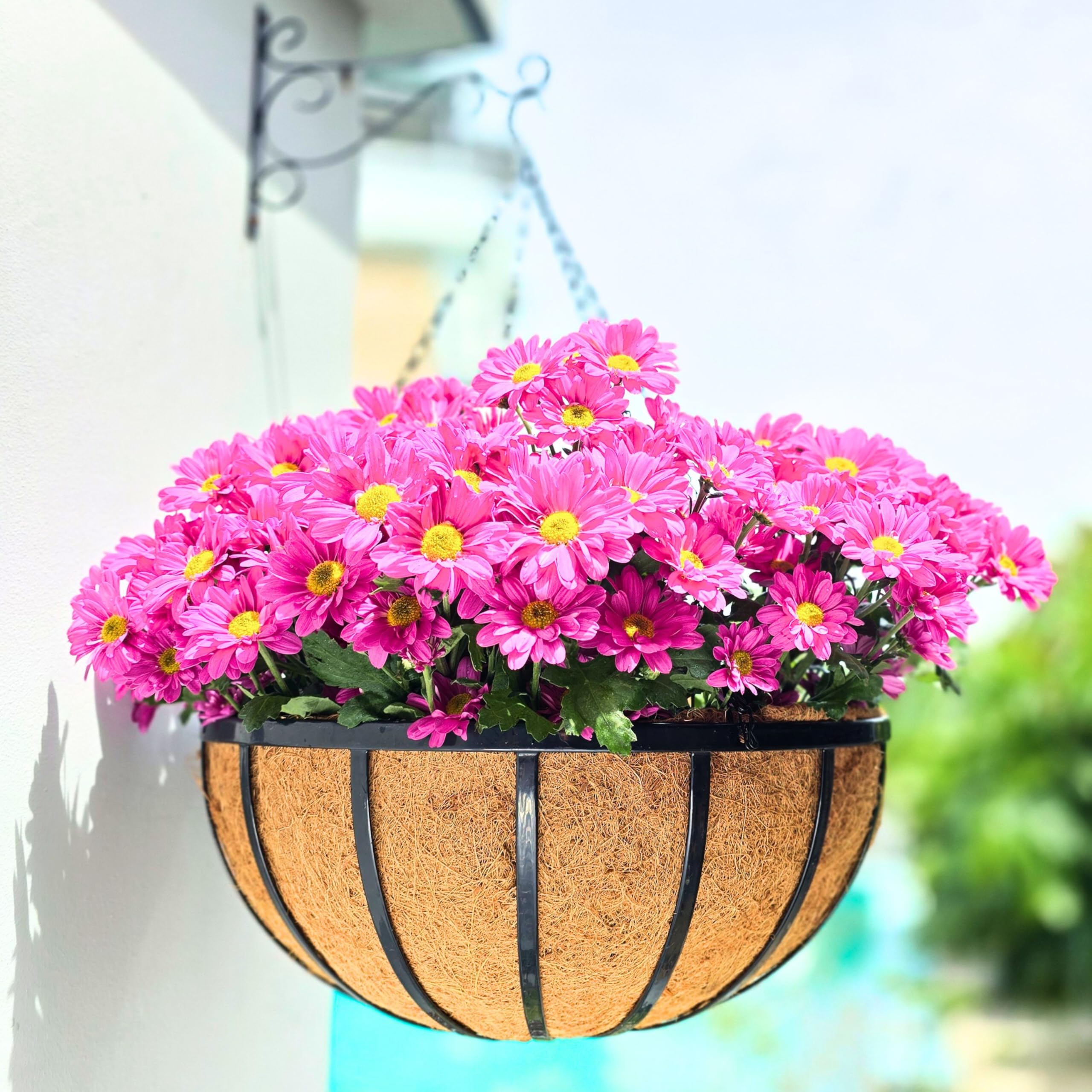 LaLaGreen Outdoor Hanging Baskets for Plants (2 Pack, 18 Inch) Extra Large Black Metal Flat Iron Hanging Planters with Coco Liner Round Flower Pot Holder Hanger Deck Porch Modern Garden Balcony Decor