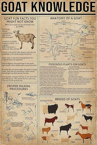 GOThDOThYE Cartel de metal con diseño de cabra con texto en inglés "Goat Knowledge", anatomía de una cabra, gráfico, ilustración, póster, granja,