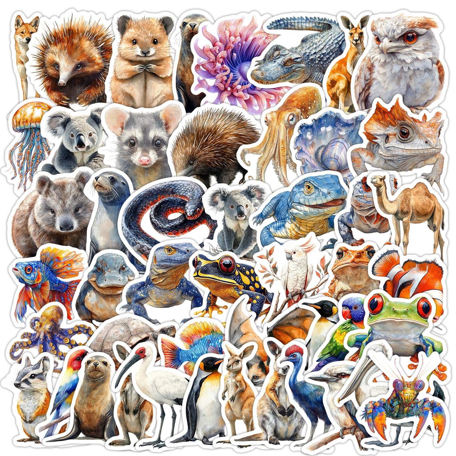 Australien Tiere Aufkleber Animal Stickers 50 Stück Skateboard Graffiti Aufkleber Motorräder Fahrrad Snowboard Gepäck Laptop Auto Koffer für Kinder und Jugendliche Wasserdichte Vinyl Decals