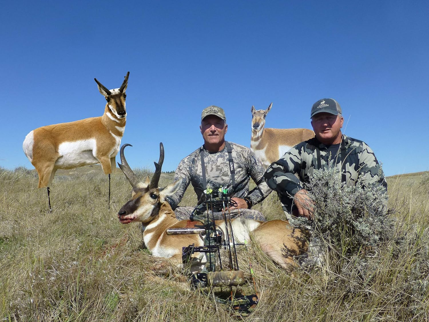 Montana Decoy 0083: Antelope Decoy Combo