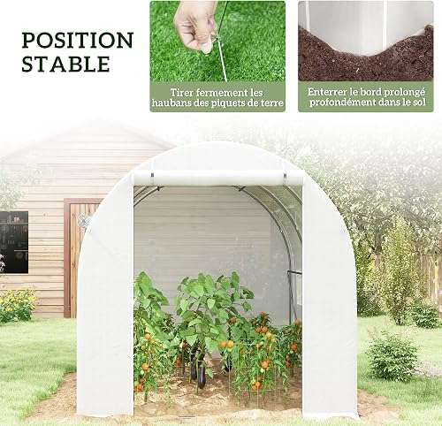 Outsunny Serre de Jardin 6 m² 3 x 2 m 1 Porte 2 Parois Latérales Blanc - 6