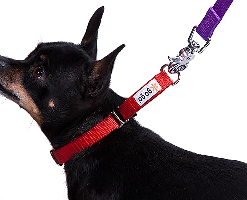 Vista 31 de GoGo Pet Products GoGo - Collar de perro Martingala de 3/8 pulgadas, talla XS, color naranja