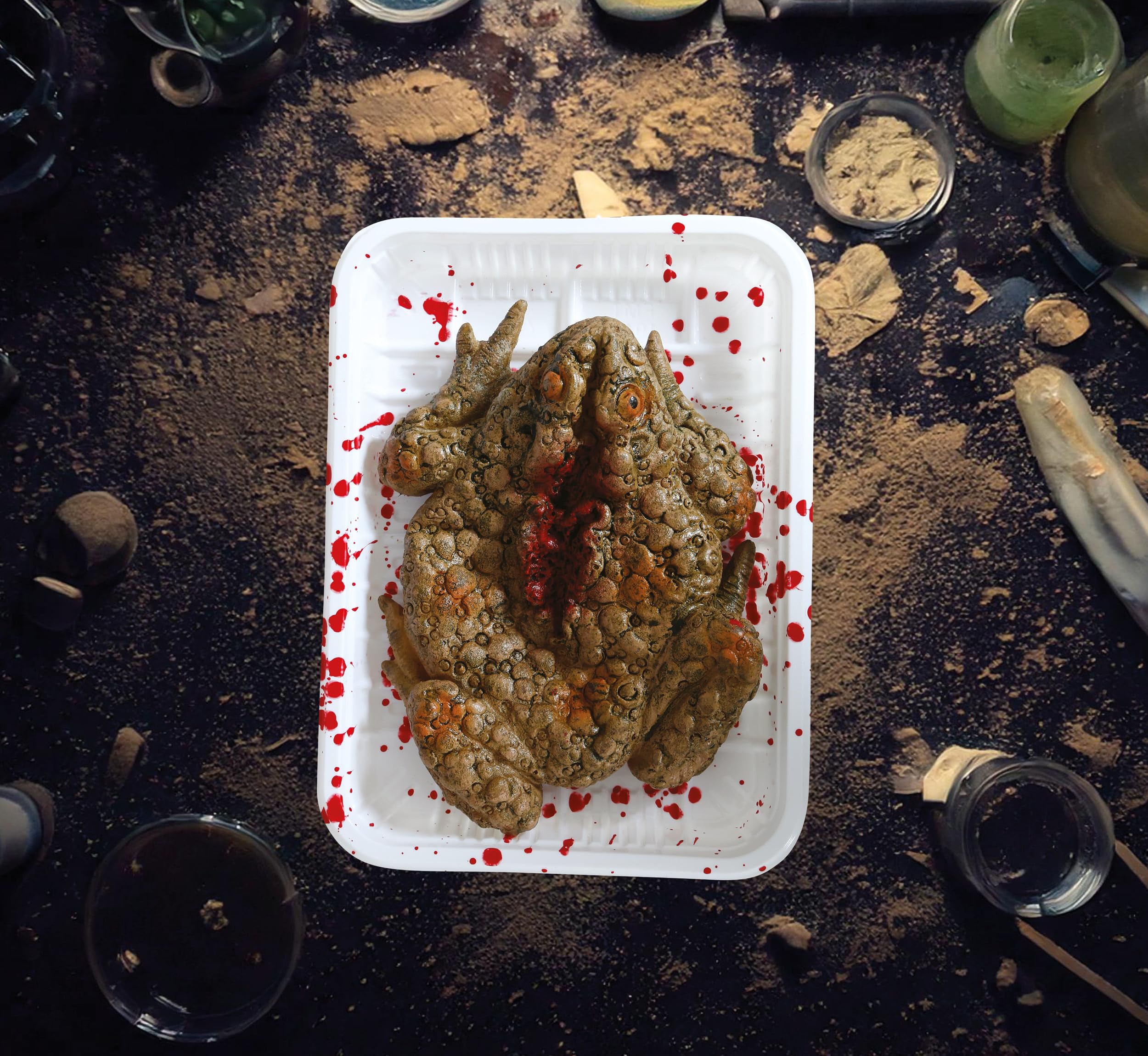 FIESTAS GUIRCA | Toad Tray (18x13 cm) - Scary Decoration for Halloween and Horror Parties - Realistic Props for Scenes and Celebrations