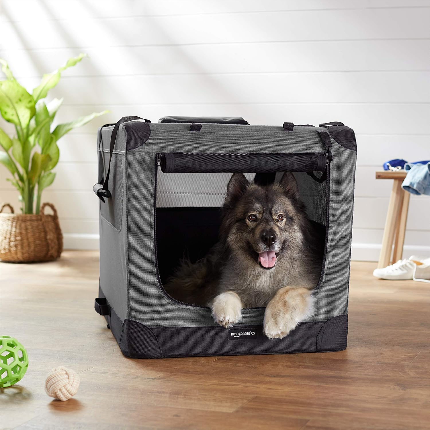  Basics Folding Portable Soft Pet Dog Crate Carrier Kennel, 36 x 24 x 24 Inches, Grey : Pet Supplies