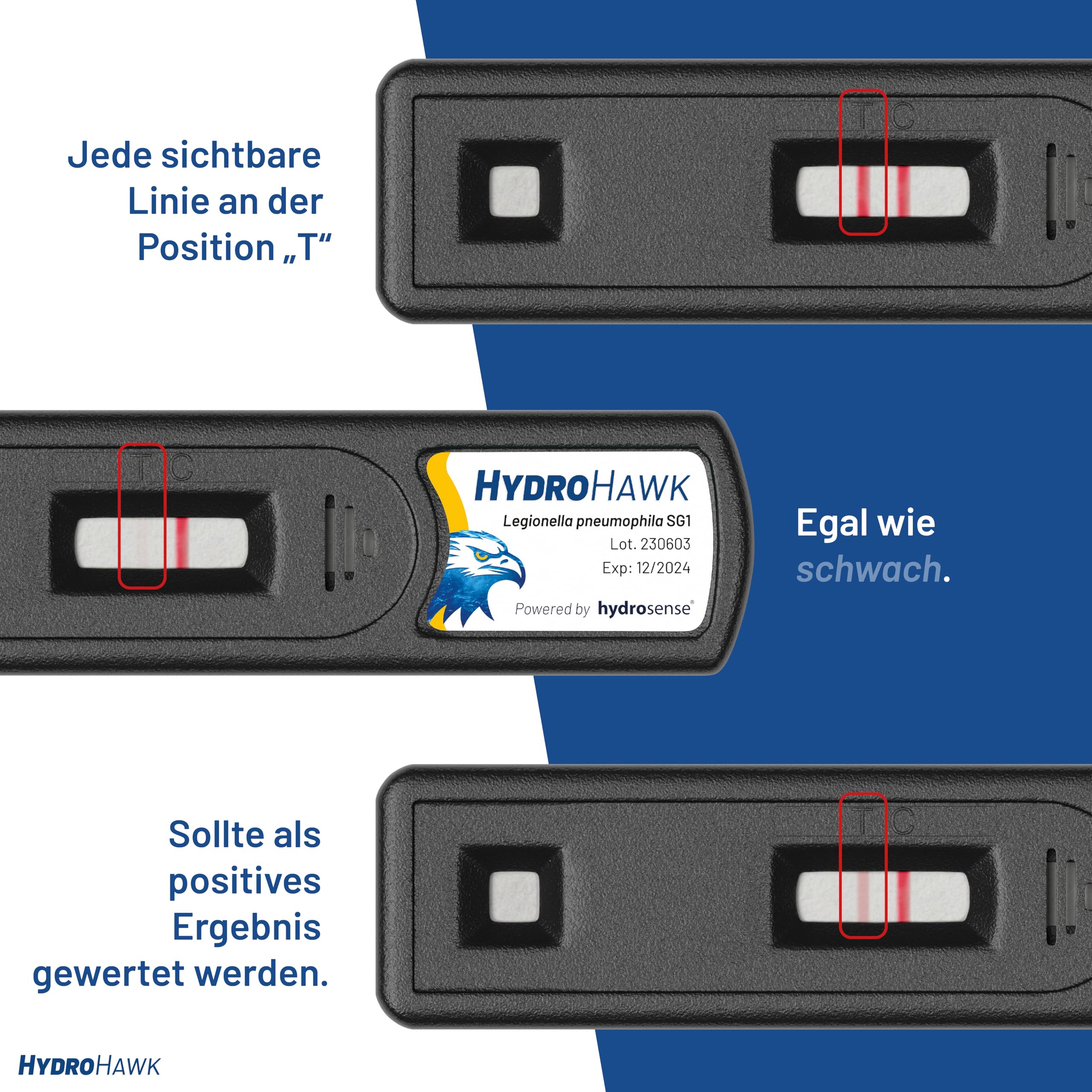 Legionellen-Abstrichtest für Wasserentnahmestellen – 5er-Pack Einweg-Testkits zum Nachweis von Legionella pneumophila sg1 – für Pool, Klimaanlage, Whirlpool – 25-Minuten-Schnelltest