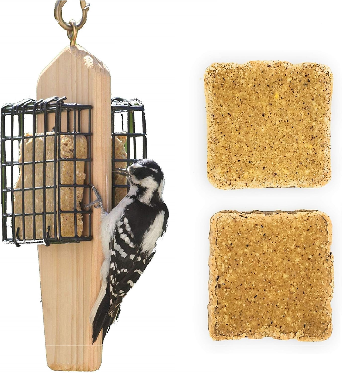 Naturesroom Suet Feeder for Birds - Include 2 Bonus Suet Cake Cage Feeder Packs -Premium Suet Cakes for Feeder Basket Holder