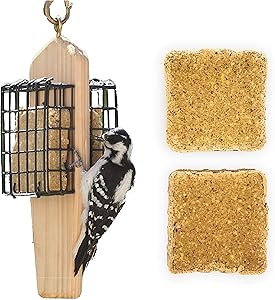 Naturesroom Suet Feeder for Birds - Include 2 Bonus Suet Cake Cage Feeder Packs -Premium Suet Cakes for Feeder Basket Holder