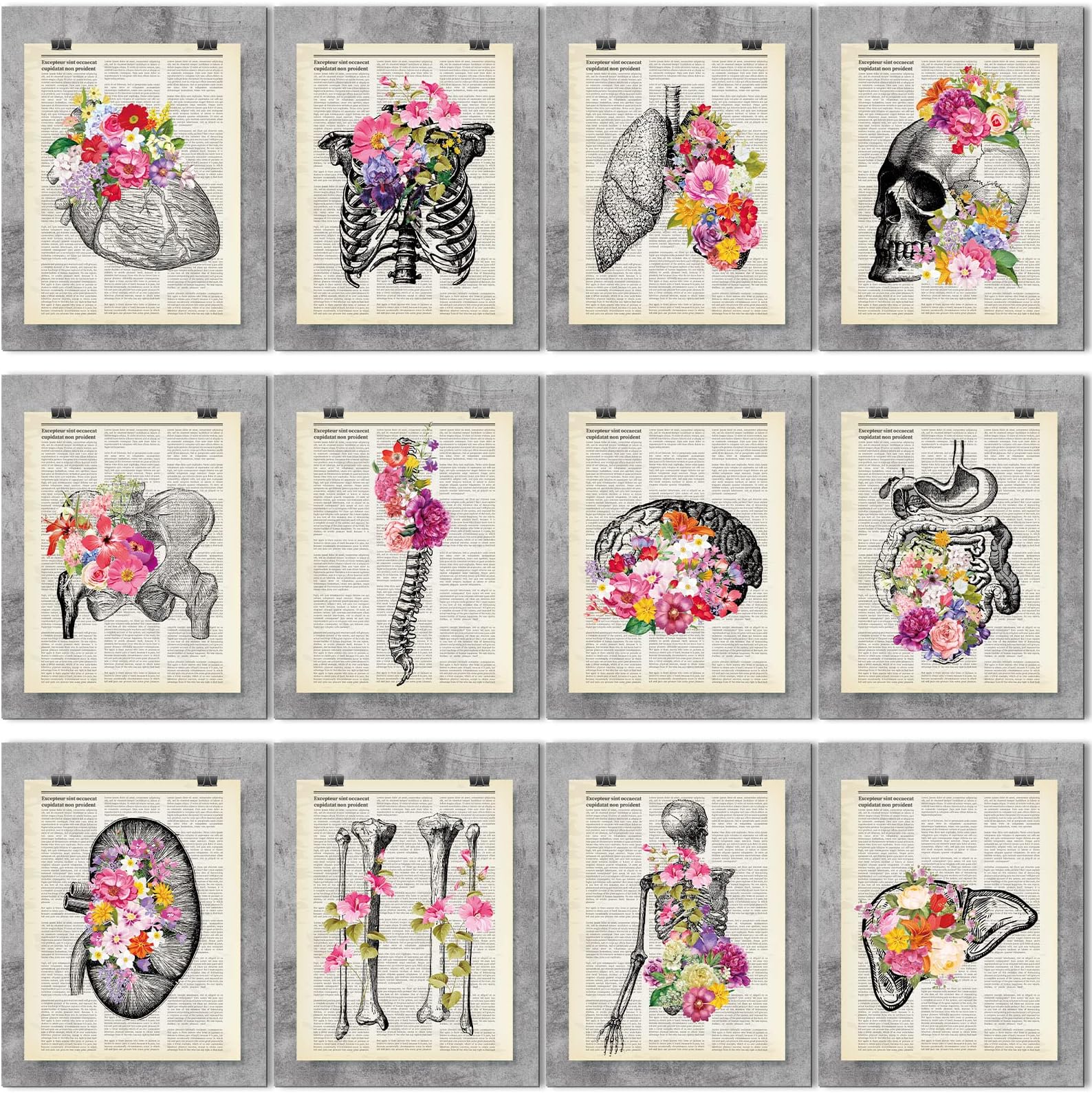 12 Pieces Medical Dictionary Art Set 8 x 10 Inch Anatomy Decor Vintage Anatomical Posters Vintage Floral Human Wall Decor for Doctor Office Clinic School Classroom Gift for Nurses Med Student