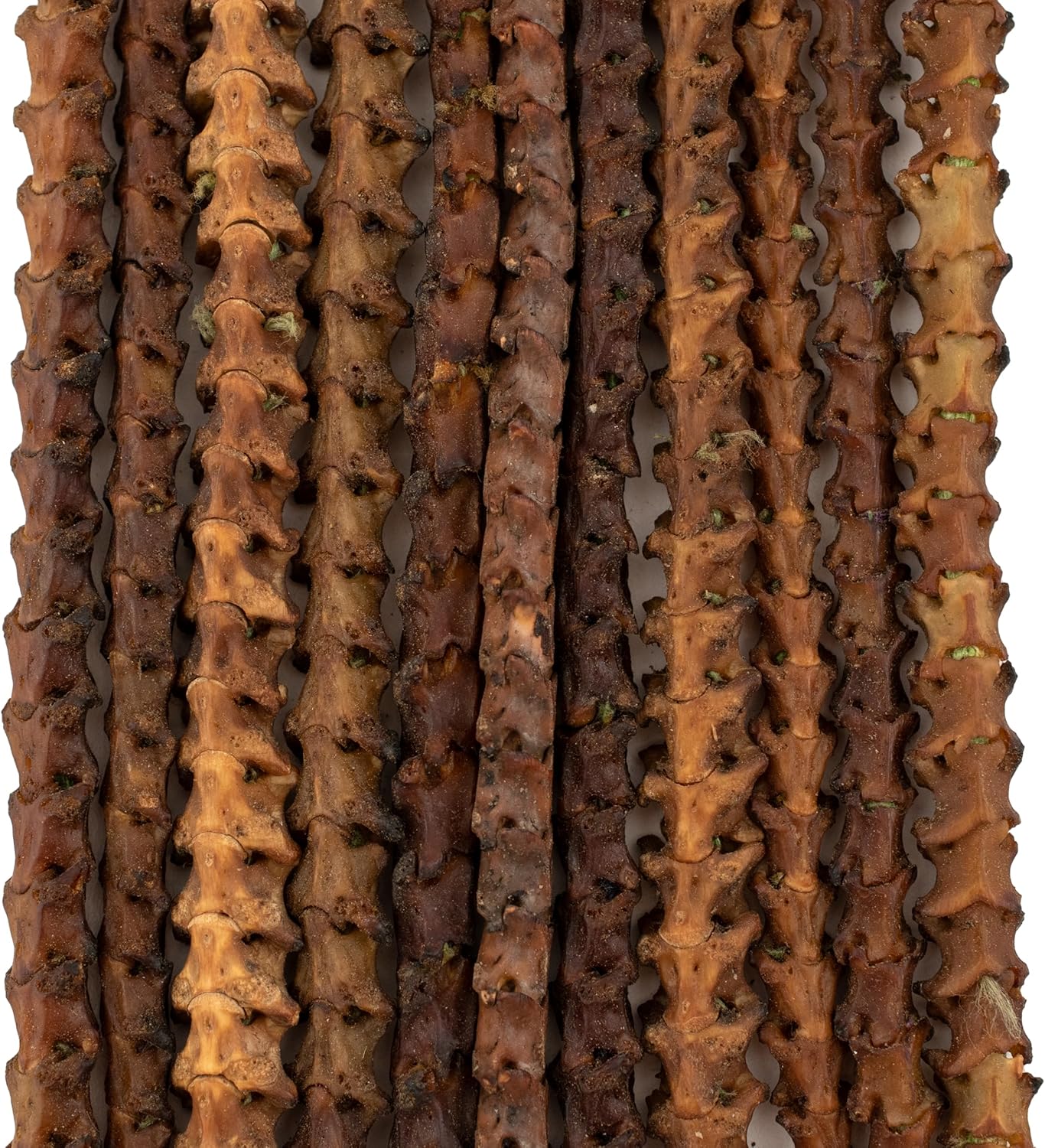 The Bead Chest Real Snake Vertebrae Beads from Africa 7mm Nigeria African Brown Interlocking Bone Large Hole 31-33 Inch Strand Handmade