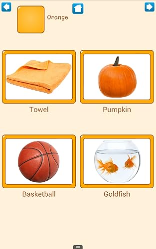 Meus Cores em Inglês Lite