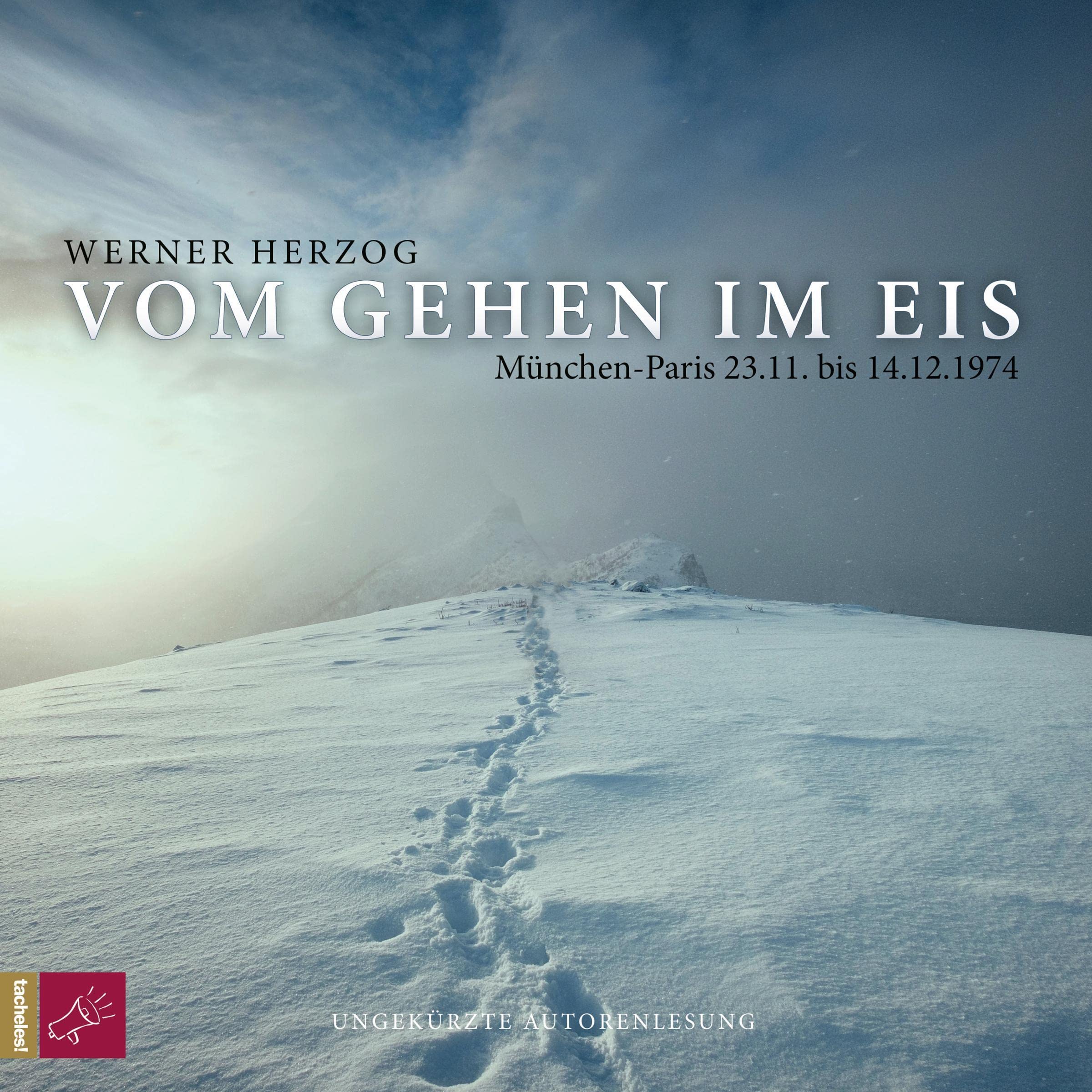 Cover art for Vom Gehen im Eis