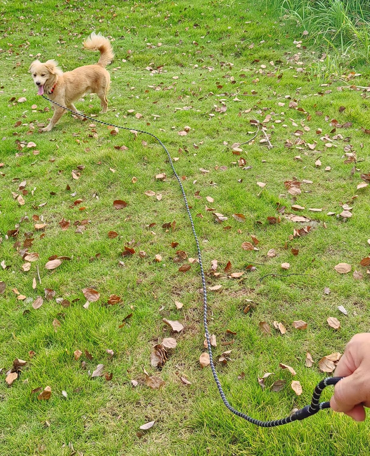 Reflective Long Dog Leash Slip Lead, No-Choking 12... 15 Reflective Long Dog Leash Slip Lead, No-Choking 12...