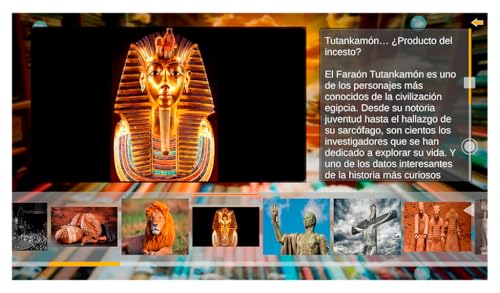 Galería Curiosidades