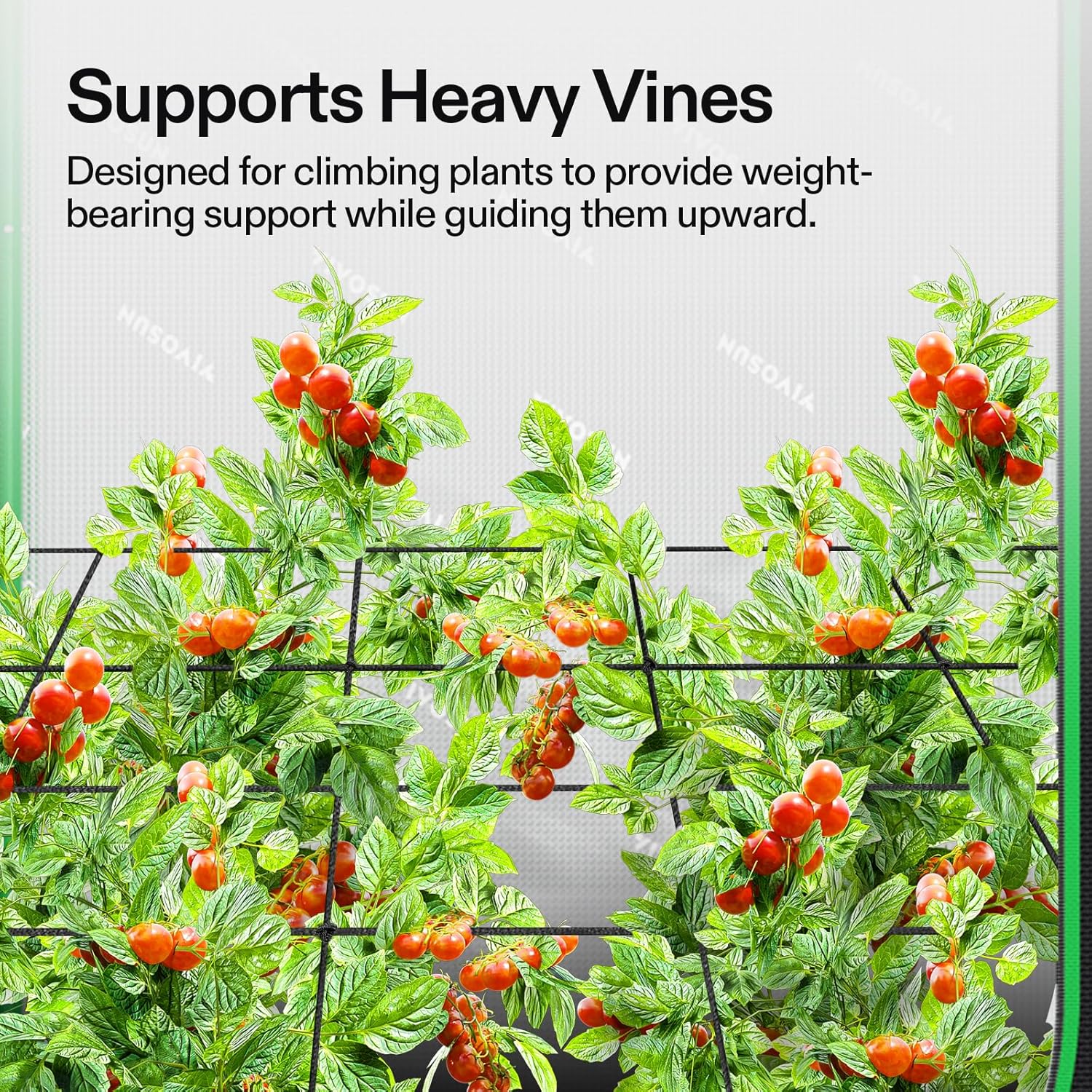 VIVOSUN 2 x 4Ft. Elastic Trellis Netting with 4 Hooks for Climbing Plants, Vegetables, Fruits, and Flowers, 2-Pack