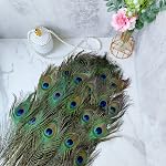 THARAHT 24pcs Peacock Feather Natural in Bulk 10-12 inch 25-30cm For Vase Craft Vase Wedding Home Party Christmas Day Decoration Peacock Feathers