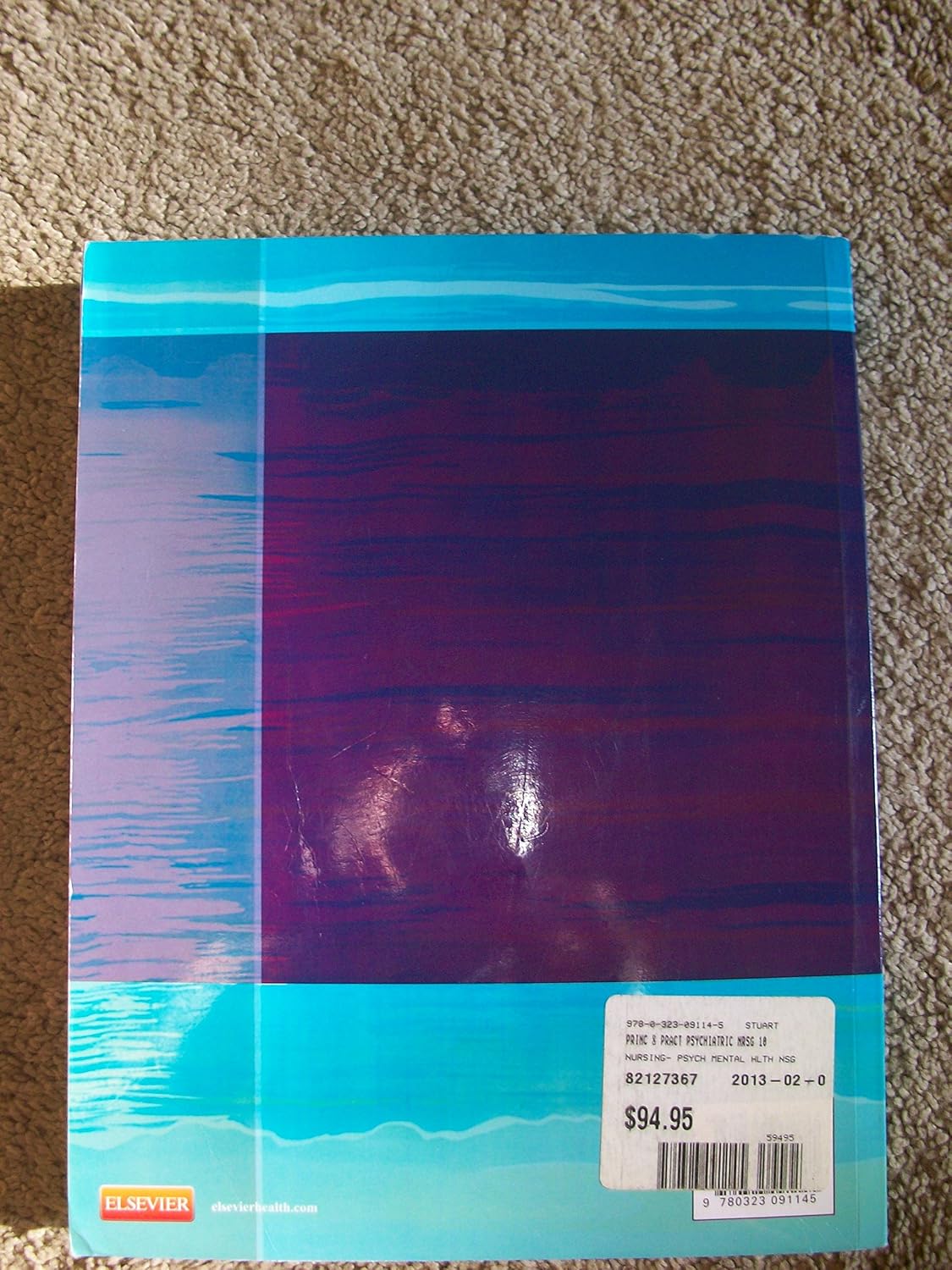 Principles and Practice of Psychiatric Nursing