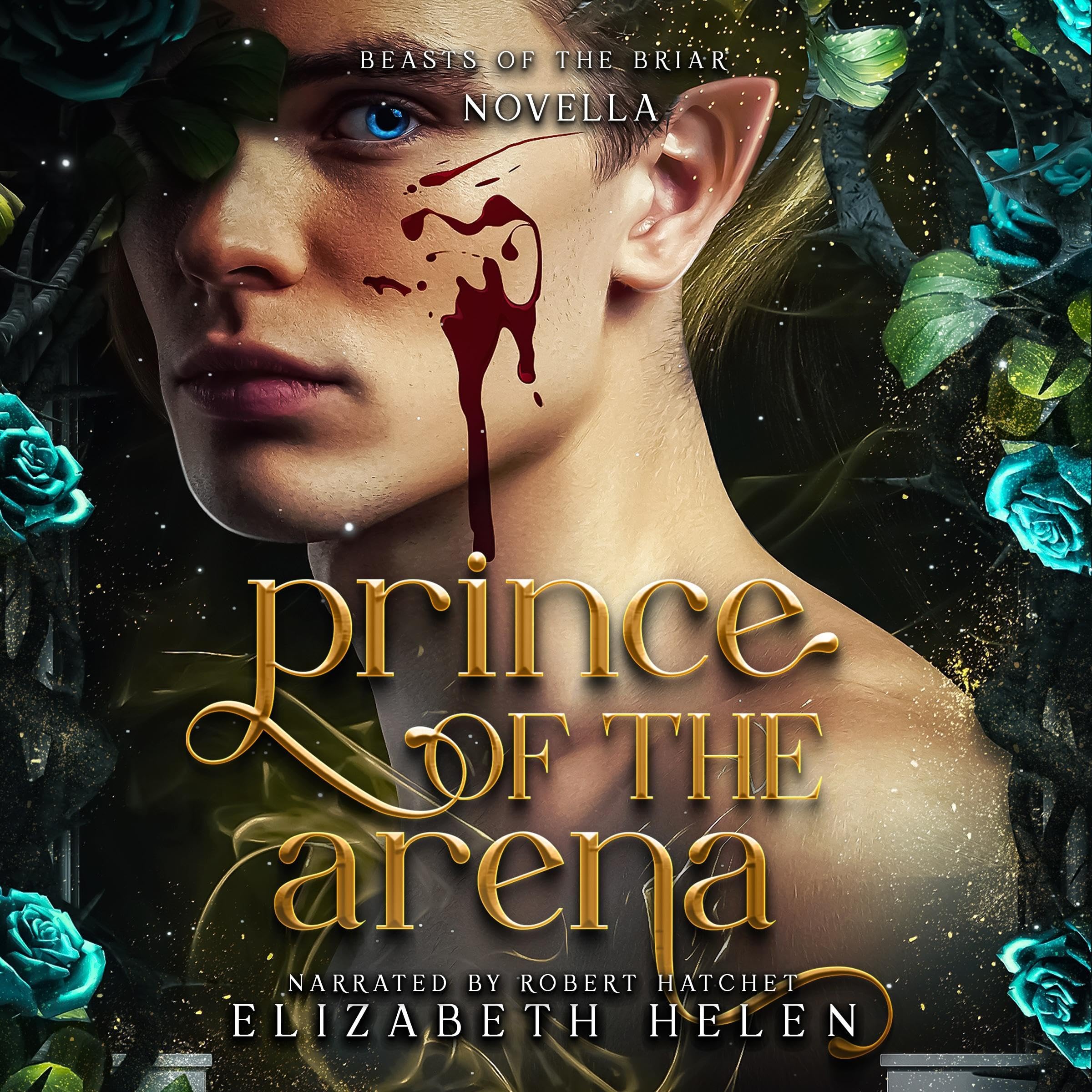 Cover art for Prince of the Arena