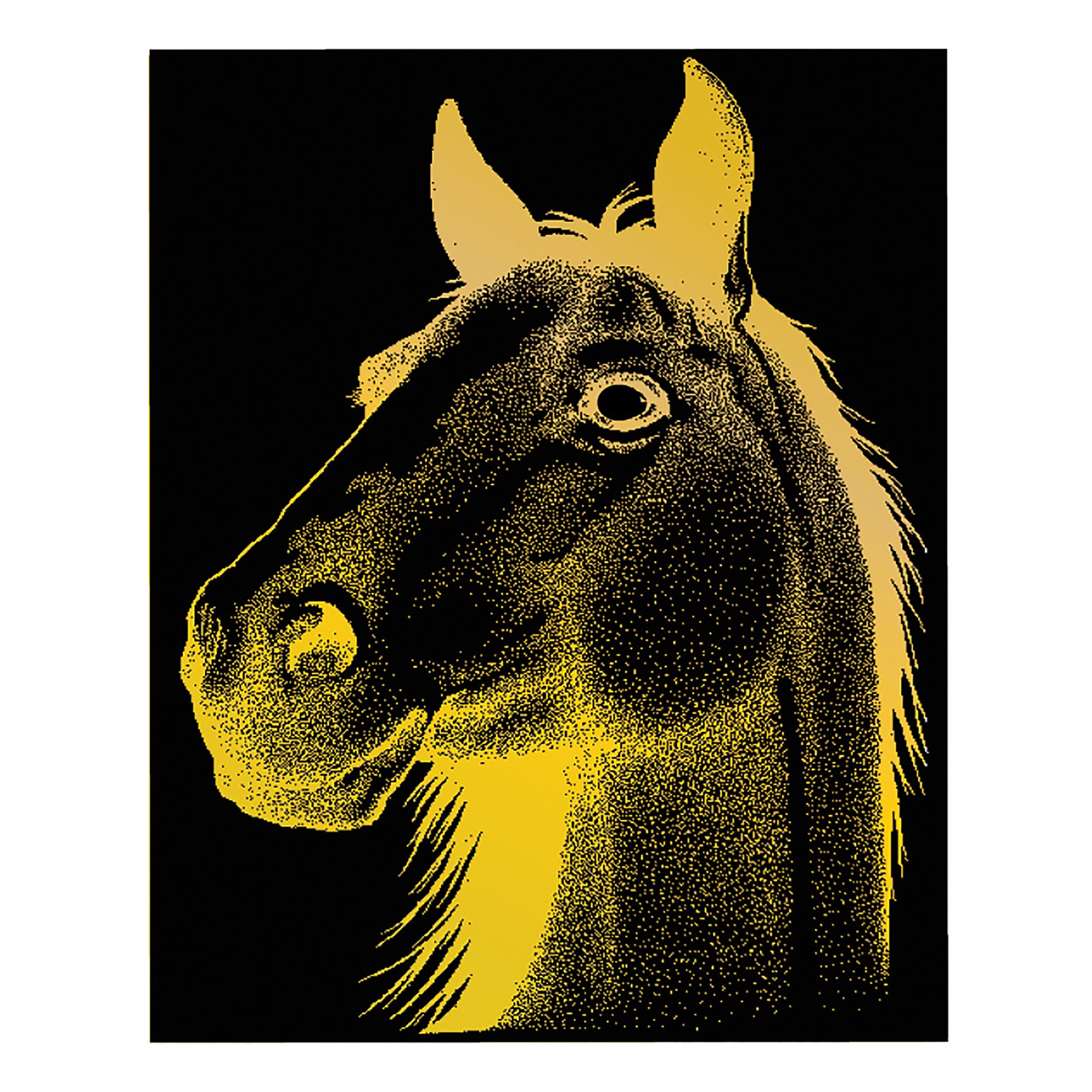 Mind Sparks "Now You See It Etch Boards (50 Sheet), Bright Gold