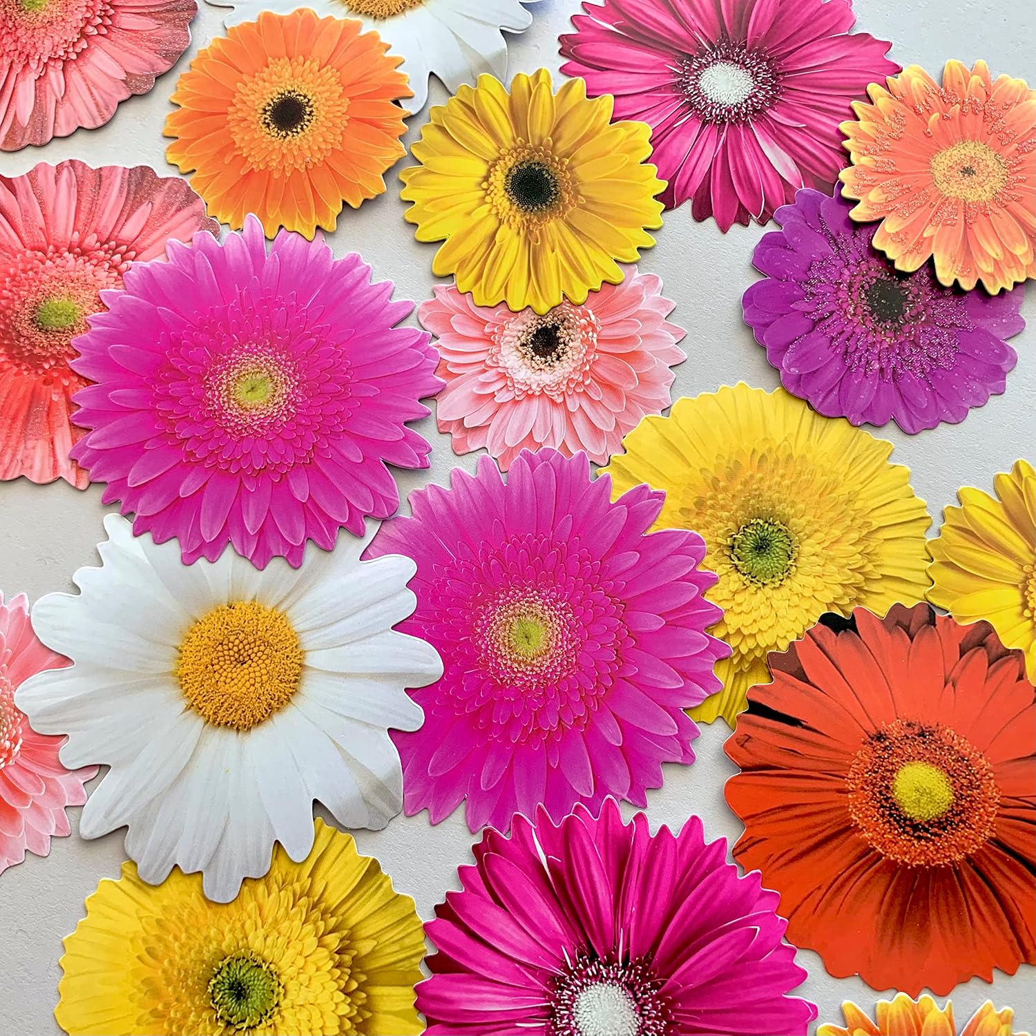 Paper House Productions Delightful Daisies 24-Piece Scrapbook Die-Cut Stickers - 3 Packs