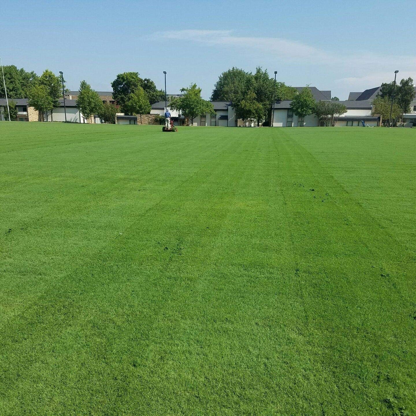 Buy Outsidepride Full House Bermuda Grass Seed Blend Of Monaco 