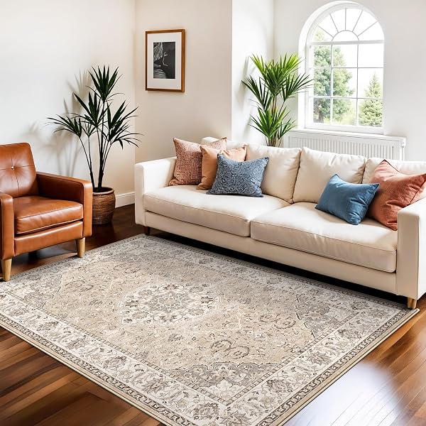 Neutral Farmhouse Low-Pile Accent Rug