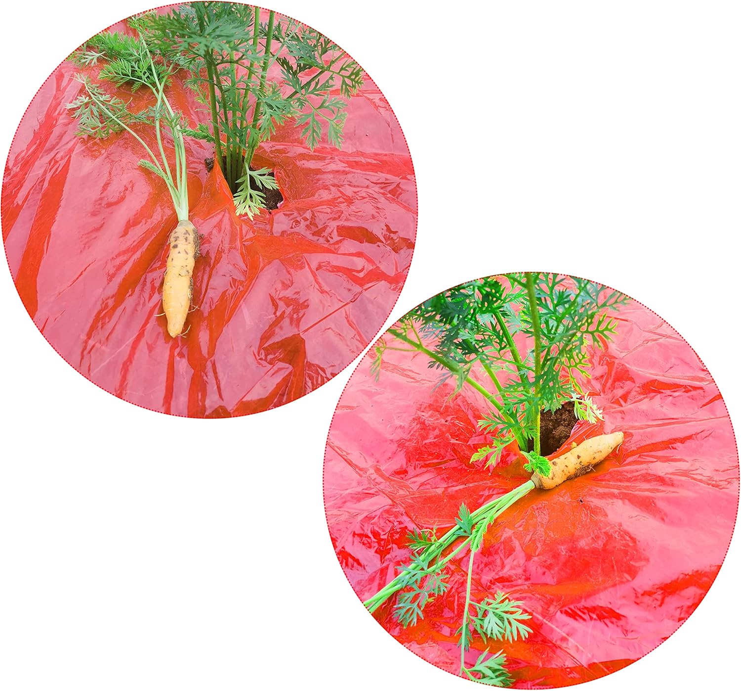 HFS(R) Red Plastic Film Plastic Mulch 1 Mil LLDPE 4X600FT Anti-UV for Carrots, Corn, Leeks