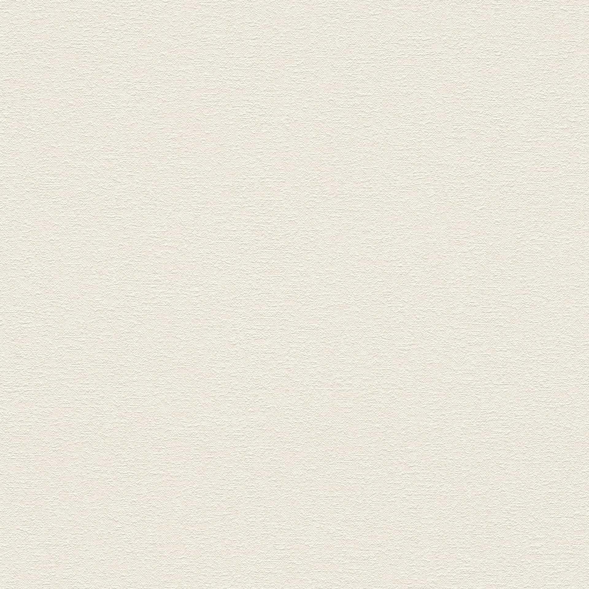 Livingwalls Travel Styles Non-Woven Wallpaper - Classic Wallpaper for Various Rooms in 10.05 m x 0.53 m Beige - Image 2