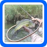 Last Read 101 Tips Fly Fishing