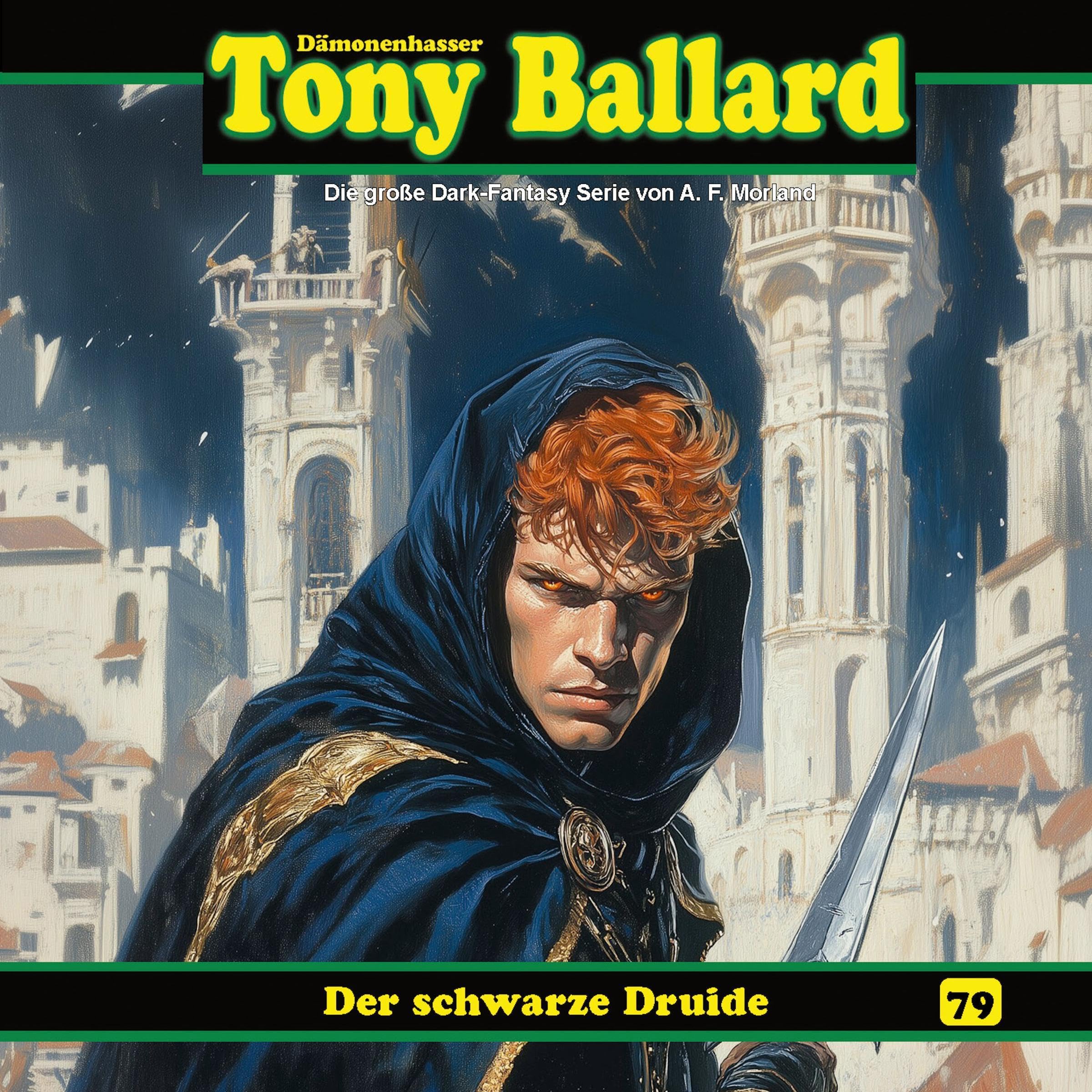 Cover art for Der schwarze Druid