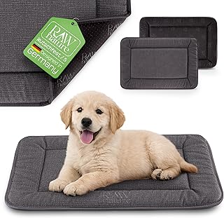 RAW Nature Hundematte KIVO S – 60x45x3 cm Alpengrau, rutschfeste Hundeliegematte aus Cord, waschbar, für Transportbox & Zuhause