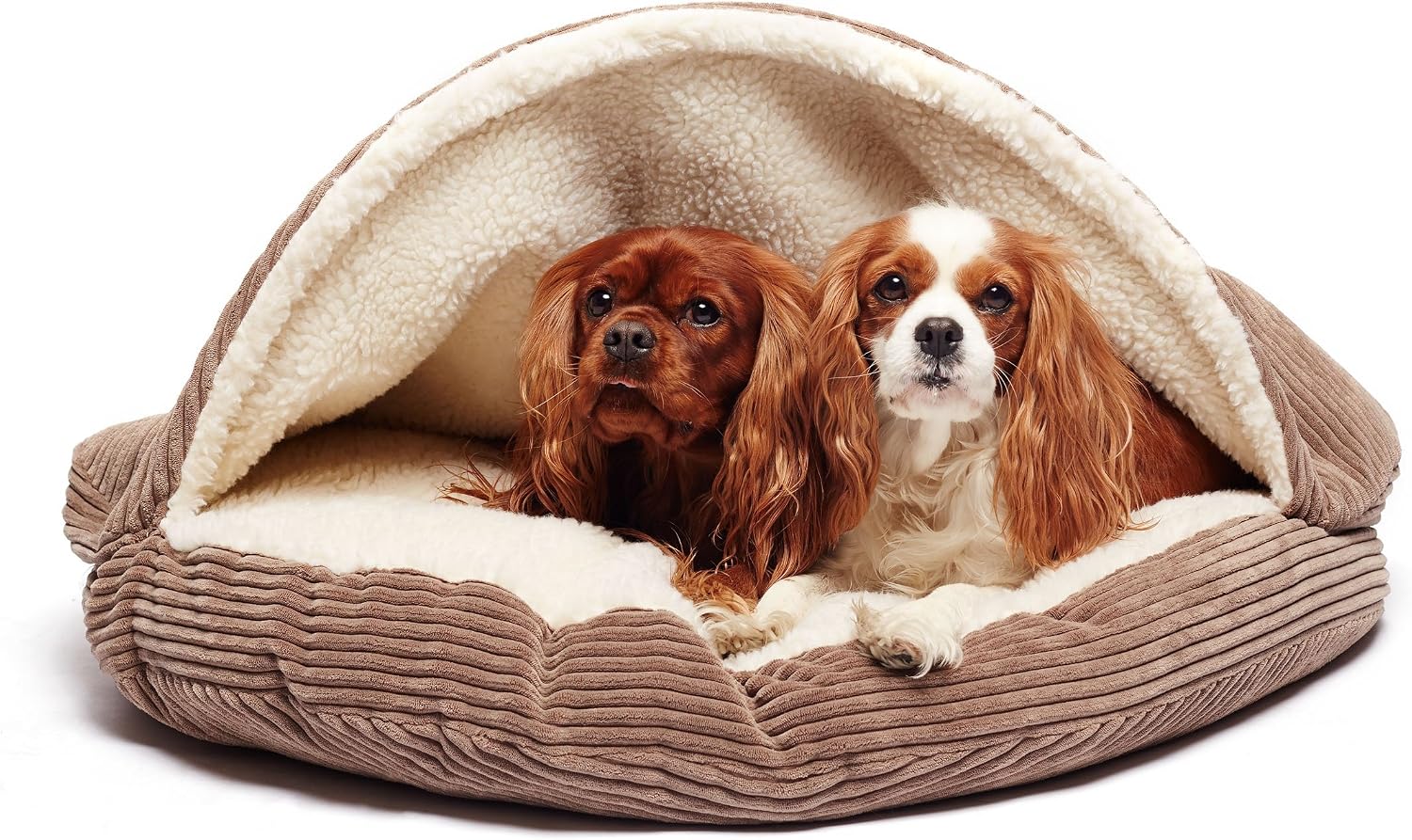 Precious Tails Round Hooded Pet Cuddler Bed, Sherpa Lined Cozy Corduroy Burrow Cave for Small Dogs and Cats, Removable Cover, 25inch Dog…