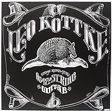 6- And 12- String Guitar