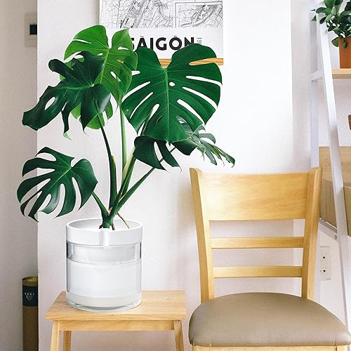 Miniatura 2 de Phoenix Vine Maceta de riego automático de 8 pulgadas, maceta de arcilla de terracota blanca con depósito de vidrio para plantas de interior,