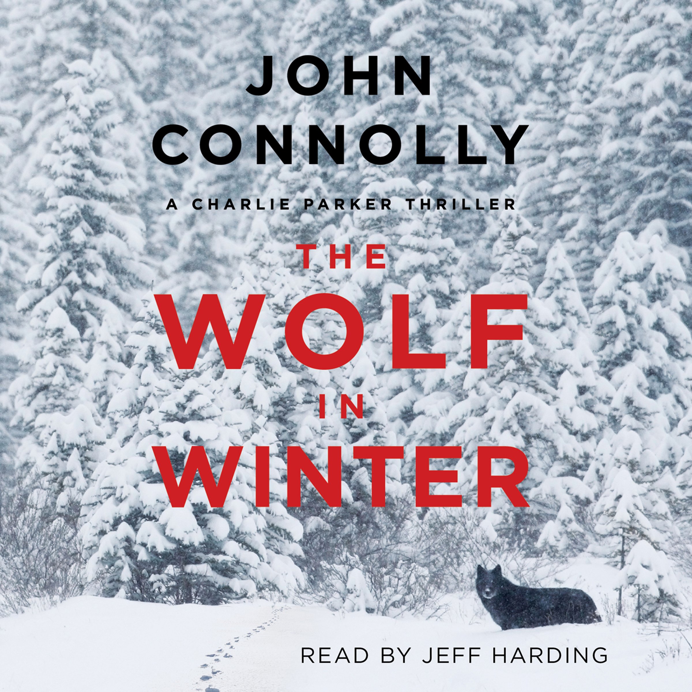 The Wolf in Winter Volume 12