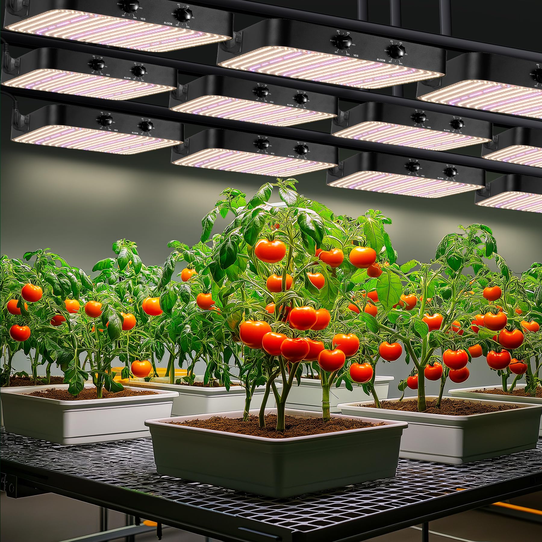 2000w Lampada per Piante, Dual Dimming VEG BLOOM Dual Mode, Lampada Coltivazione LED, con 1140 LEDs, Grow Light Spettro Completo per Grow Tent, Crescita idroponica, Verdure Fiore(Scheda Quantum)