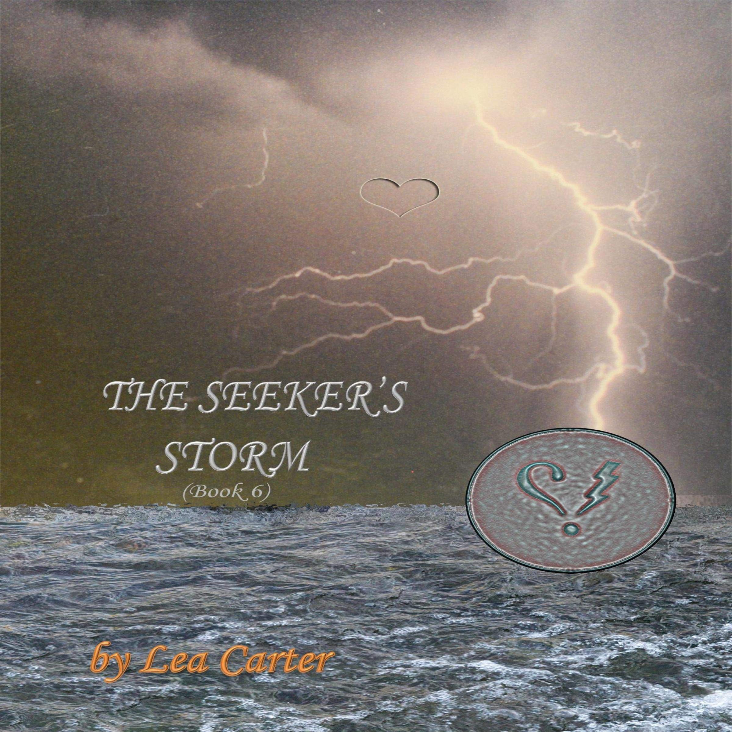 Cover art for The Seeker's Storm