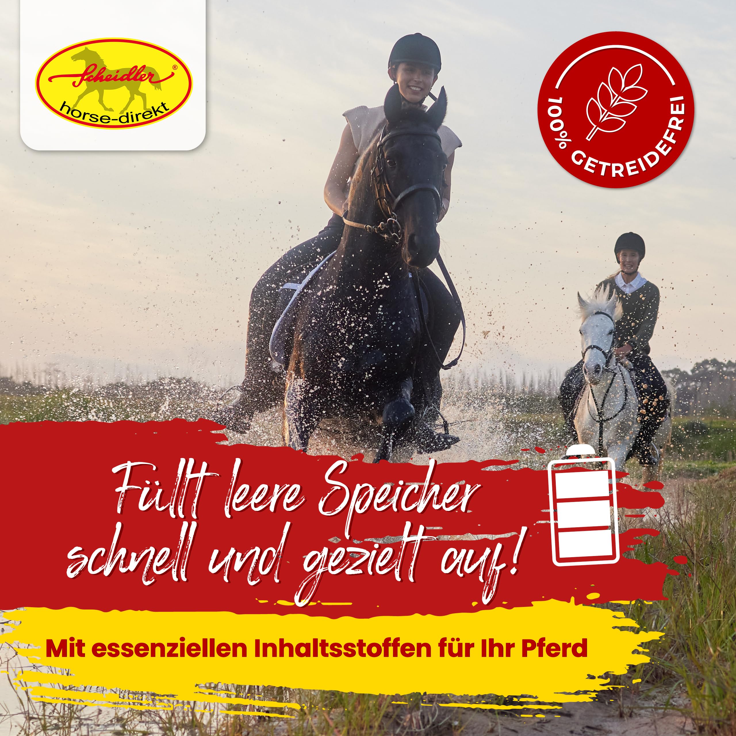 Scheidler horse-direkt Zink Komplex für Pferde - 4kg Pellets Eimer hochdosiert für Huf, Haut & Fell – Mit Bierhefe, Zeolith, Esparsette & Schwarzkümmel – Getreidefrei - Alle wichtigen Mineralien