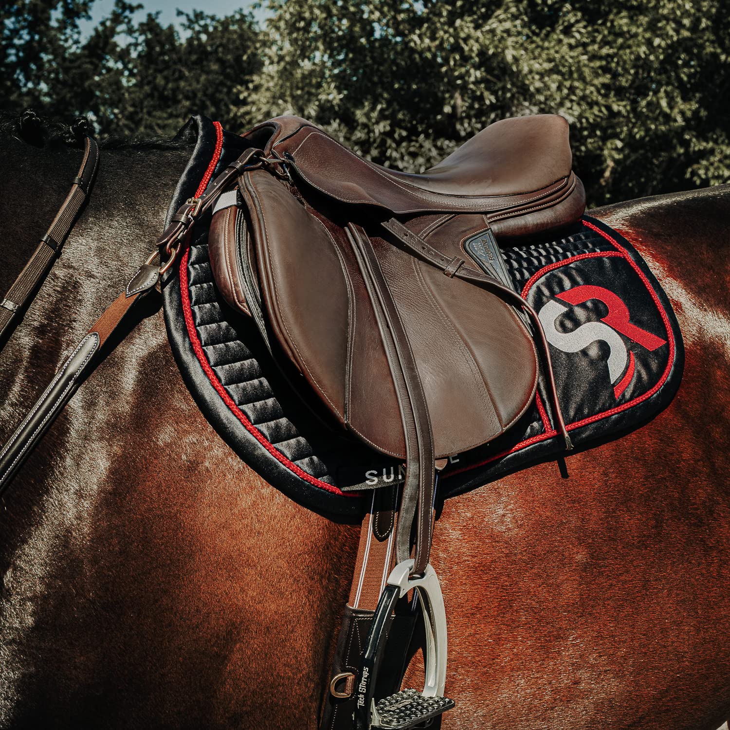 SUNRIDE Redini in Gomma divisibili con Barrette per Cavalli, in Vera Pelle Morbida e Gomma Antiscivolo (Full 280 cm, Marrone)