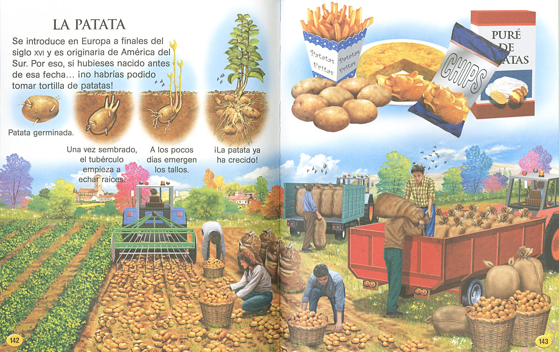 Animales del mundo (Mi libro plateado)