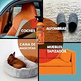 Ver la foto 7