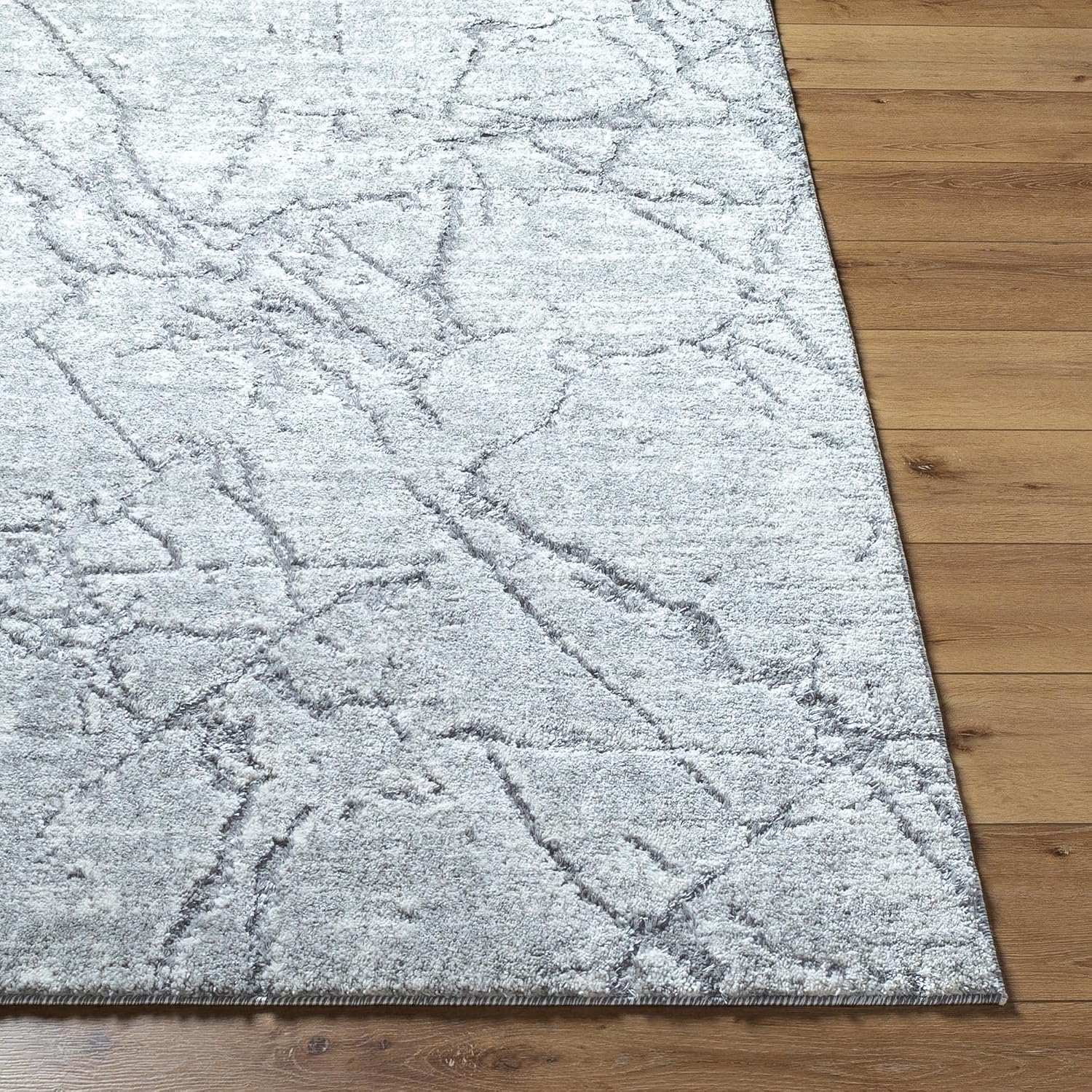 Livabliss Andorra Plus Modern & Contemporary Area Rug,5'3" x 7'3", Light Gray/Ivory