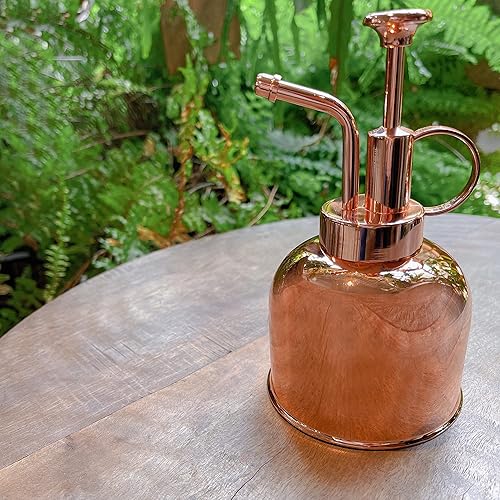 Miniatura 2 de Regadera de acero inoxidable para plantas de interior, suculentas, bonsái, jardín, pulverizador, herramientas modernas de jardín, 10 onzas (oro rosa)