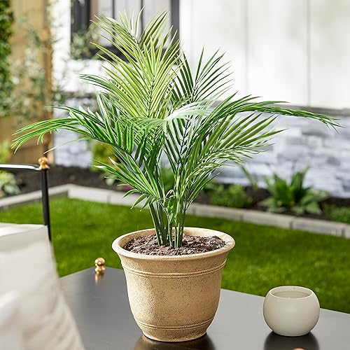 Miniatura 124 de The HC Companies Sierra - Maceta redonda de riego automático, maceta de plástico ligera para hierbas y más, macetas duraderas para plantas de Bronce