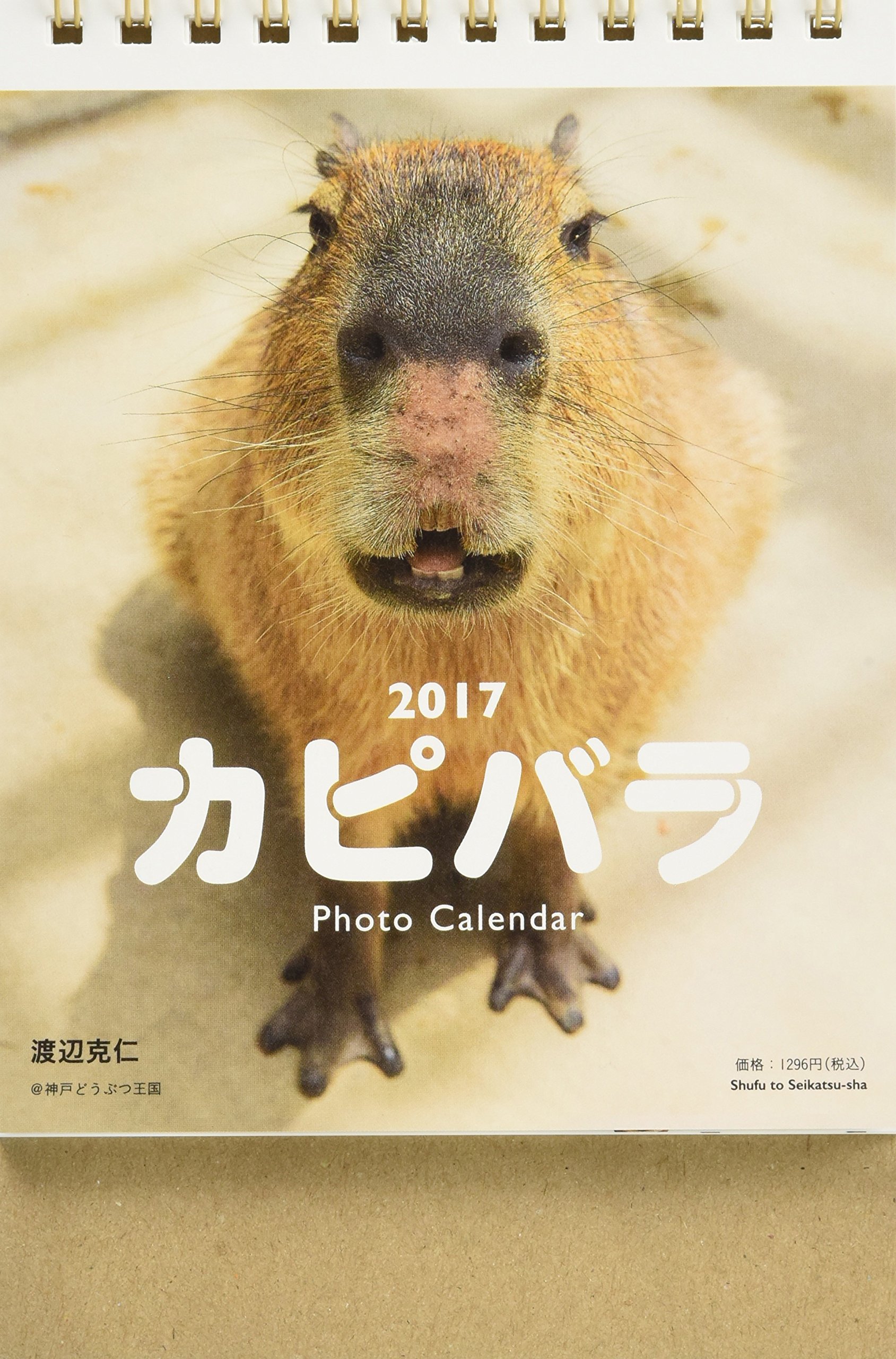 Amazon Co Jp 17 カピバラフォトカレンダー カレンダー 渡辺 克仁 文房具 オフィス用品