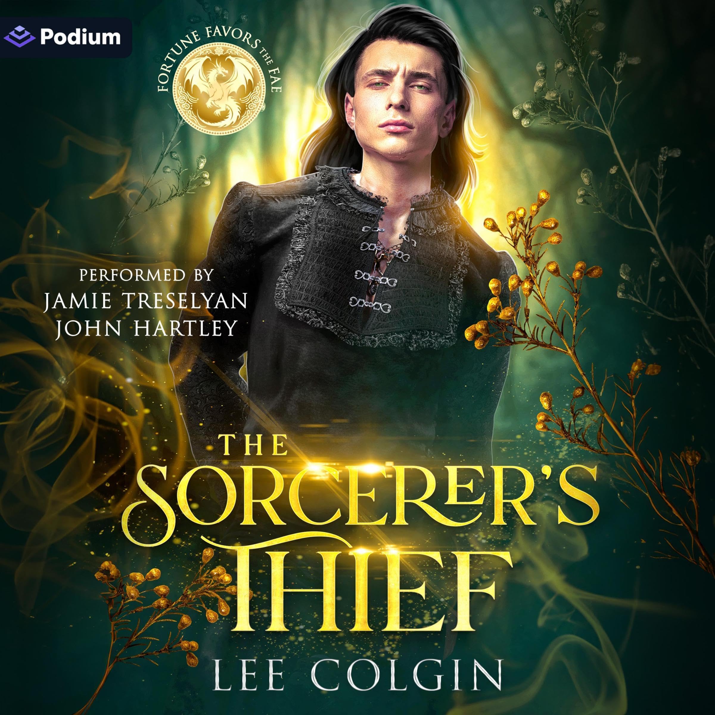 Cover art for The Sorcerer's Thief