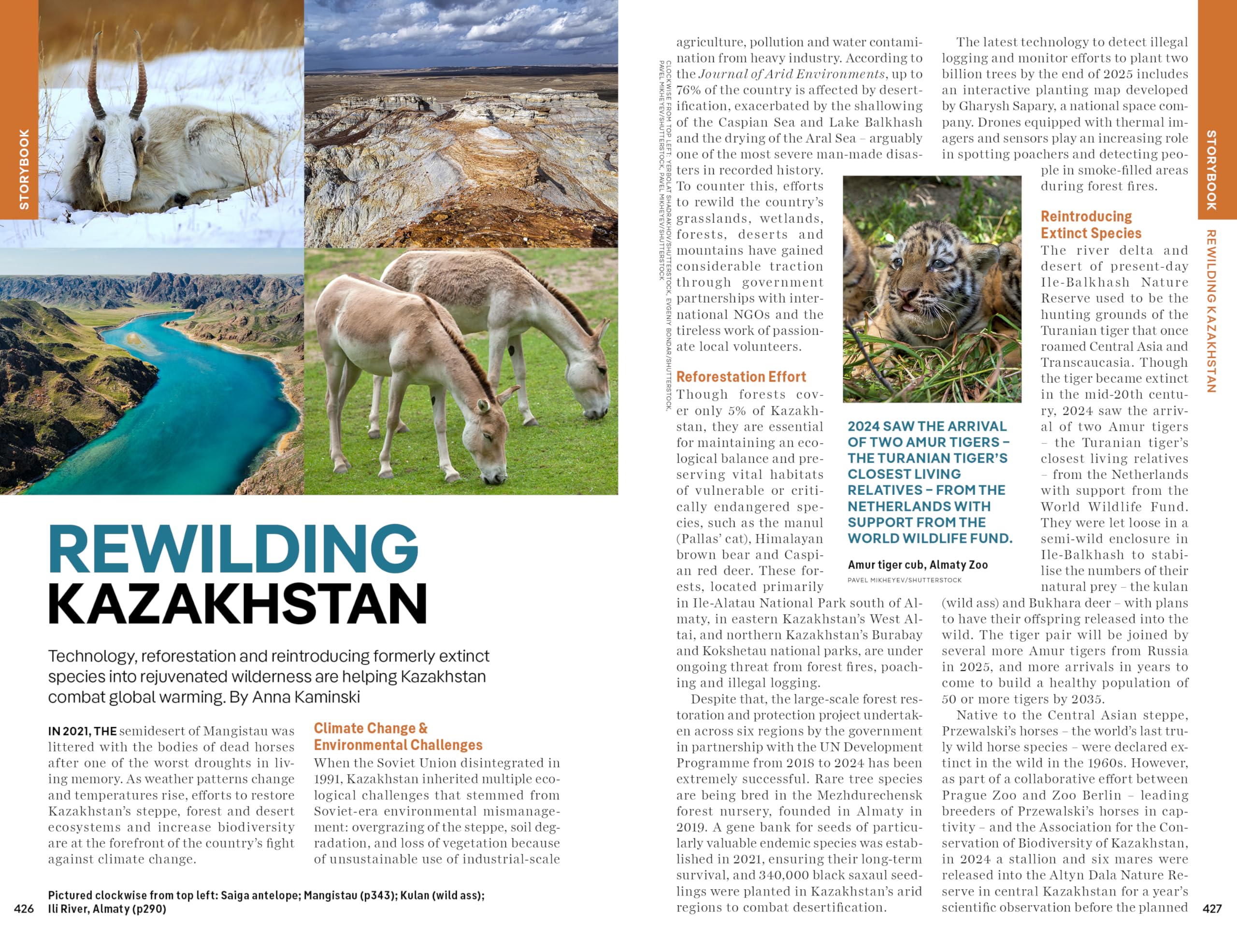 Central Asia - 8ed - Anglais: Plan the Trip of a Lifetime | Detailed Itineraries & Maps | Insider Tips | Covers Uzbekistan, Kazakhstan, Kyrgyzstan, Tajikistan and Turkmenistan