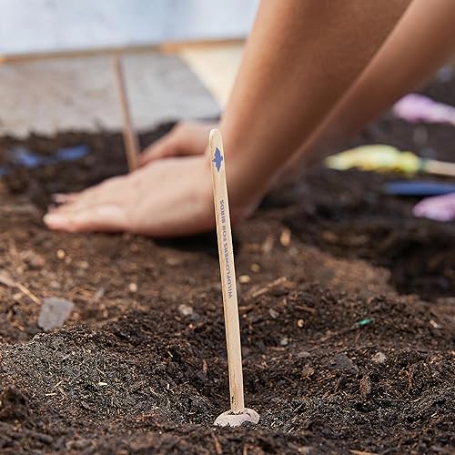 Miniatura 9 de Modern Sprout Paletas de semillas, paquete de semillas de jardín, plantas de interior o exterior, semillas orgánicas, mezcla de verduras y hierbas