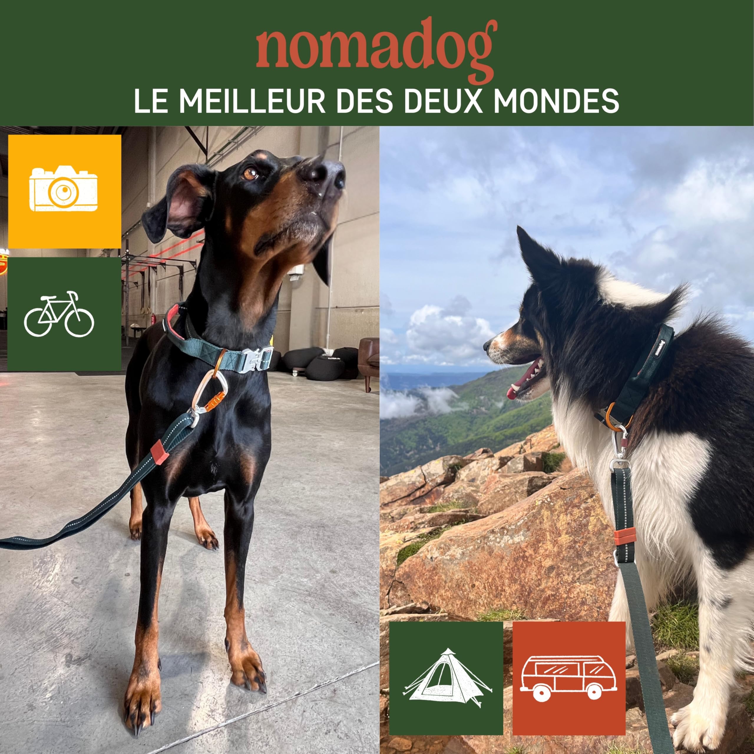 Nomadog Trailblazer Collier Chien avec Poignée pour Gros Chien - Durable, Réglable, Rembourré, Boucle en Aluminium Premium - Collier Tactique (XL)