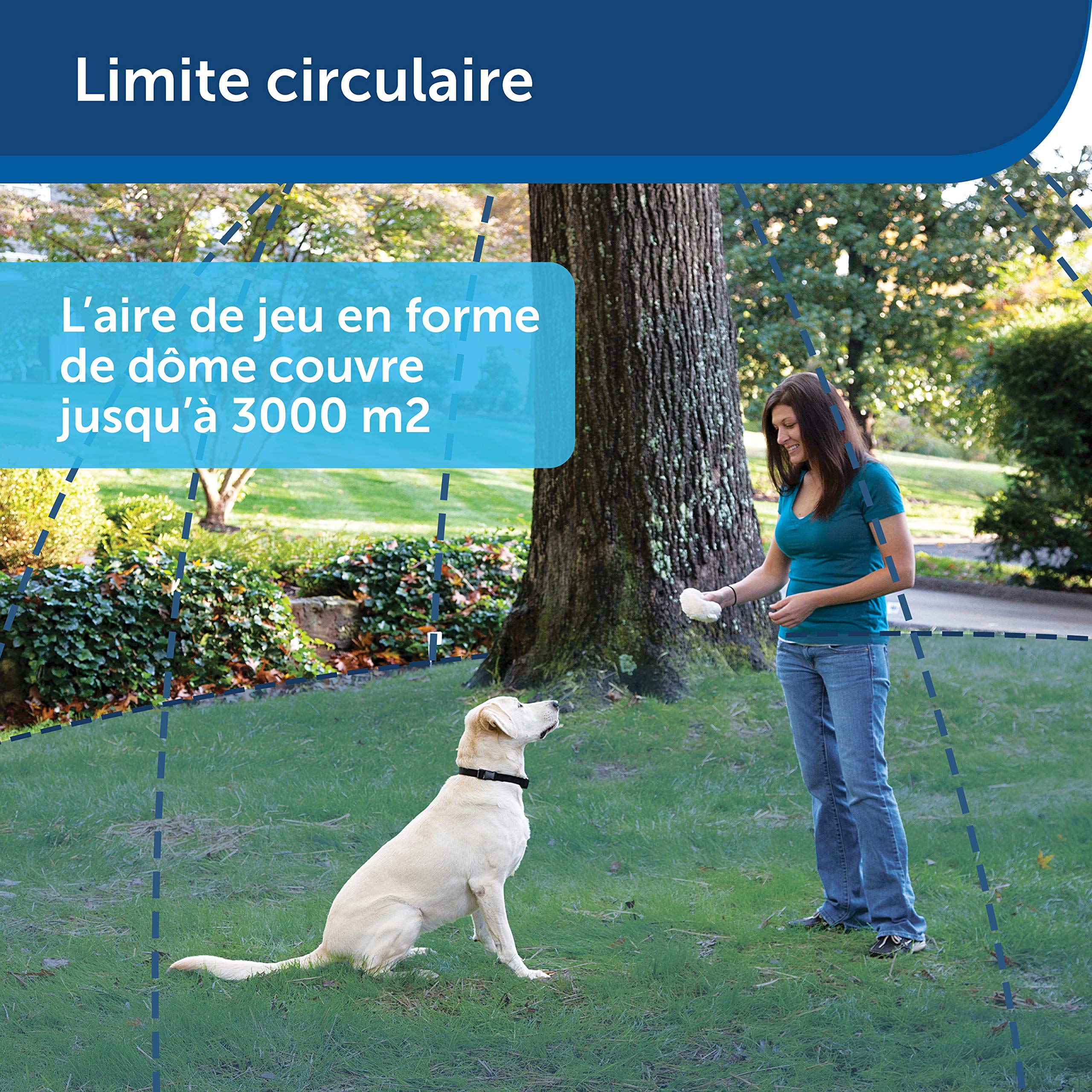 PetSafe, Clôture Anti-Fugue sans Fil Stay & Play de pour Chiens têtus, Collier étanche et Rechargeable, Couverture Circulaire de 3 000 m², 5 Niveaux de Stimulation Ajustable, transmetteur Portable