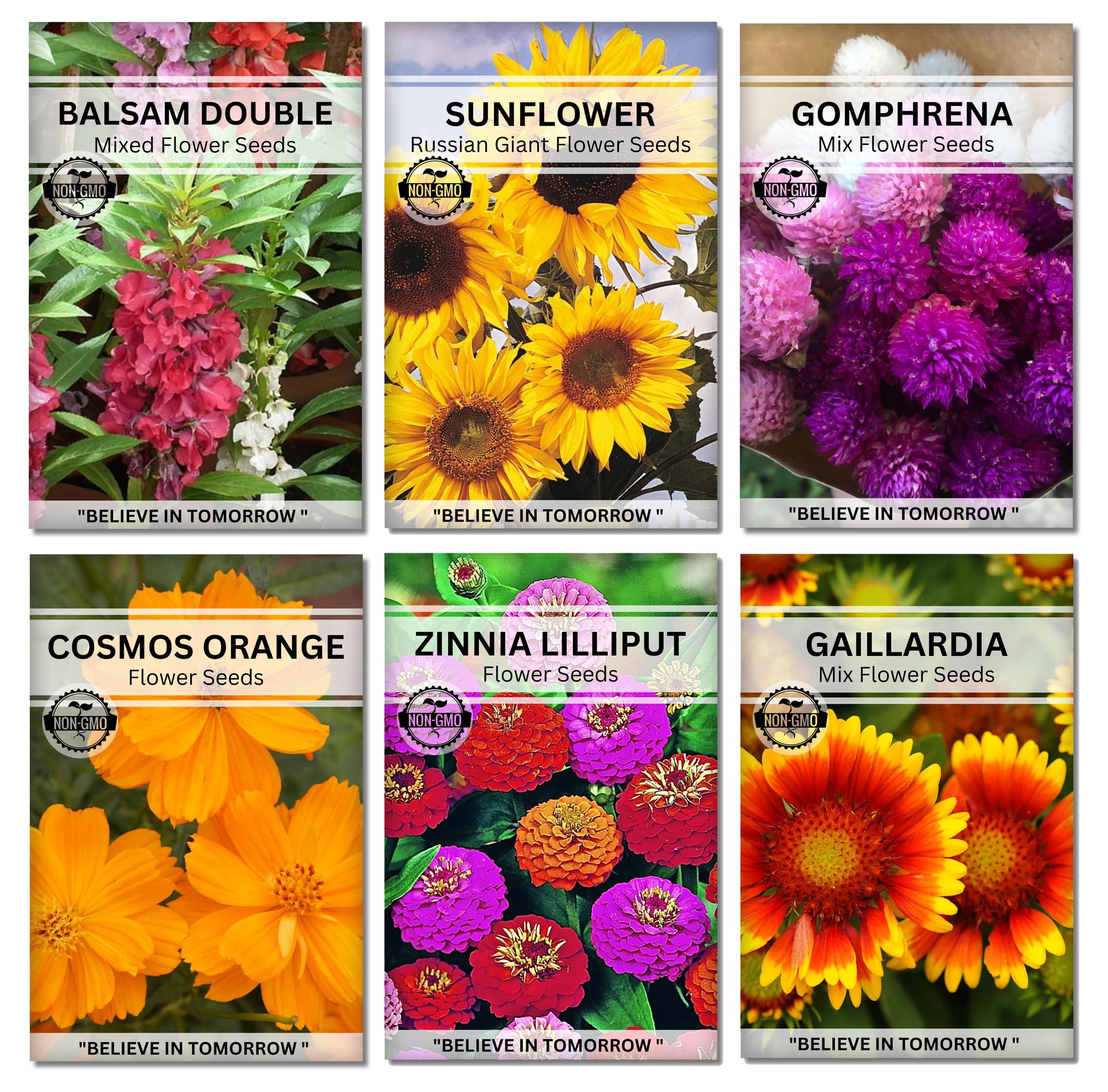 6 Packet Summer Flower Seeds Combo for Planting | Balsam, Sunflower, Gomphrena, Cosmos Orange, Zinnia Lilliput, Gaillardia Flower Seeds Combo | 6 Summer Flower Seeds Combo for Home Gardening (B0D49M6YCR) Amazon Price History, Amazon Price Tracker